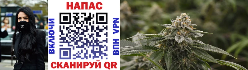 Конопля Bruce Banner  дарнет шоп  Юхнов 